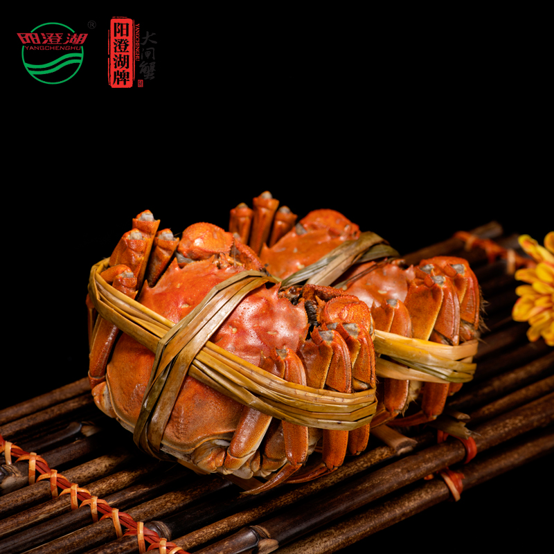 陽(yáng)澄湖牌大閘蟹 春華秋實(shí)